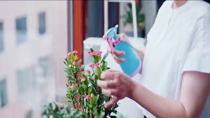 Light Chaser Rescue ep 33 eng sub