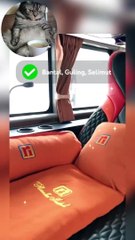 rebahan bareng rosalia indah double decker busmania bismarck