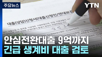 안심전환대출 9억 원 주택까지...긴급 생계비 대출 검토 / YTN