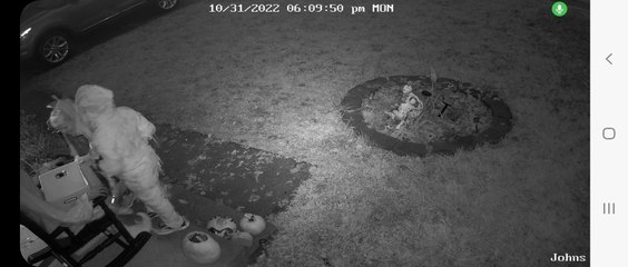 Kids Put Candy in Empty Halloween Bowl