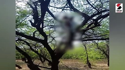 યુવક-યુવતી વૃક્ષ પર લટકેલી હાલતમાં મળી આવ્યા