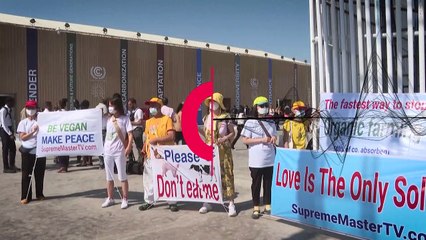 Protest gegen Nutztierhaltung bei UN-Klimakonferenz 2022