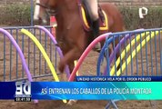 Policía Montada: así entrenan a los caballos de esta Unidad Histórica que vela por el orden público