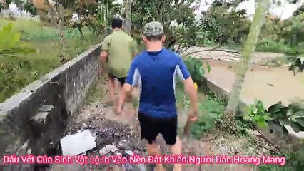 Footprints of dangerous reptiles   Hunting survival