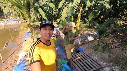 Ông Lão Vác Máy Kích Cá Truy Bắt Cặp Cá Chép Rồng Khổng Lồ Sống Lâu Năm Trong Đầm Lầy Bỏ Hoang
