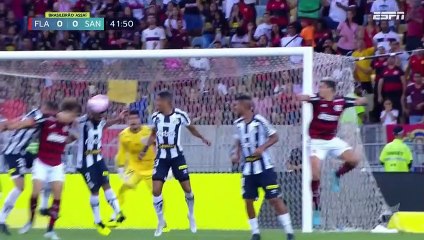 BRASILEIRAO SERIE A - Flamengo (3 - 2) Santos - FECHA 34