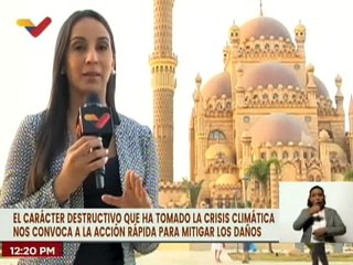 Juventud apuesta a la COP 27 en Egipto para la salvación del planeta ante la crisis climática