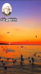 Kalam bullah Shah
