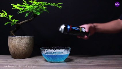 10 SCIENCE EXPERIMENTS IN PLAYING WITH FIRE