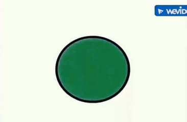 So Smart! Shapes: Cecil the Circle Part 6 - Turtle