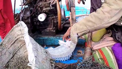 Bottom Fishing In Mangroves | pitiani karachi