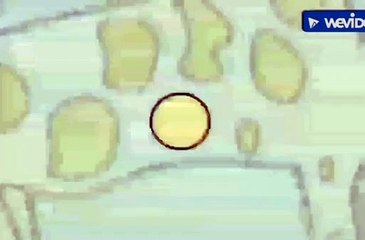 So Smart! Shapes: Cecil the Circle Part 8 - Pig