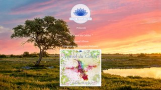 Présentation album L'envol du Colibri - Sébastien Duboscq - Sortie novembre 2022