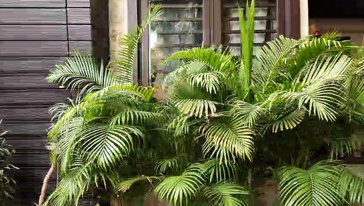 Poisioning : व्यवसायी की पुत्री फोन उठा लेती तो भाग नहीं पाते लुटेरे