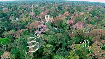 Le mystère des rivières volantes dAmazonie  ARTE