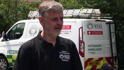 East Sussex WRAS explains how the local bird flu outbreak is affecting the charity.