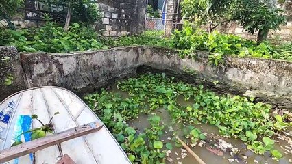 Kích Cá Tiêu Diệt Hết Ổ Cá Rô Phi Khủng   Thú Vui 3 Miền