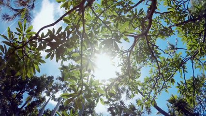 Hell Bound Episode 4 in Hindi हिन्दी & Urdu اردو dubbed