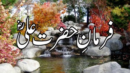 Best Collection Of Hazrat Ali Quotes About Successfull and Happy Life In Urdu