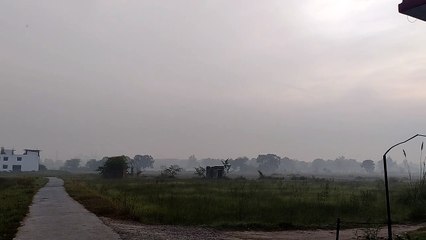 Morning View | Natural Beauty #trending