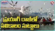 Winter Season _Siberian Birds Noise In Prayagraj _ Uttar Pradesh _ V6 Weekend Teenmaar
