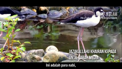 3 Golongan Manusia di Hari Kiamat