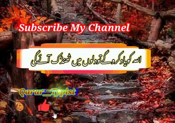 Allah ko yad karongi | اللہ کویادکرونگے | qarar__typist