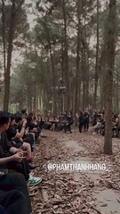 Siêu mẫu Thanh Hằng catwalk giữa rừng thông