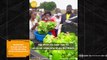 Quang Linh Vlog buồn lòng khi nông sản bị ép giá: Tiếc nuối khi tiền đến tay mà còn mất