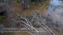 AusNet drone shows tree on powerlines | 7 November 2022 | The Border Mail