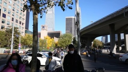 El comercio exterior chino creció un 6,9 % interanual en octubre