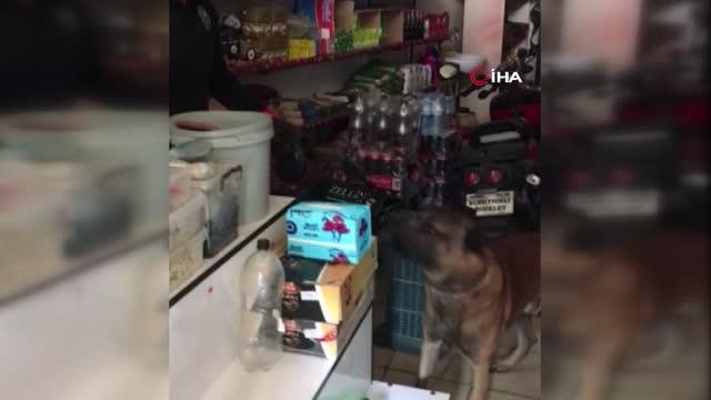 Bakkal dükkanında uyuşturucu satan 2 şüpheli tutuklandı