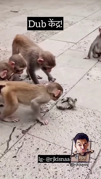 MONKEY DJ KEKDA DUB KENDRA RJKISNA  SASTE  NASEY #shorts #viral #trending #official shorts New funny shorts Famous Video #letest new viral and famous video