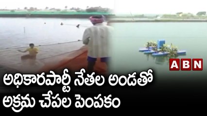 అధికారపార్టీ నేతల అండతో అక్రమ చేపల పెంపకం || YCP || ABN Telugu