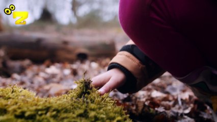 Zarok TV - Gedeyê Ke Dinya Xelisnenê (Beş 1: ARYA) - NÛ/NEWE