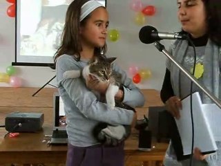 Домашен любимец, изложба