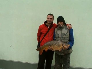 Пипона с 7 кг шаран