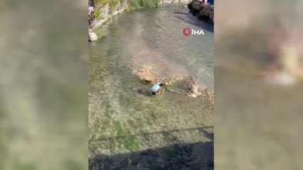 Soğuk havada Çoruh'un serin sularına girerek ağaç parçalarını topladı