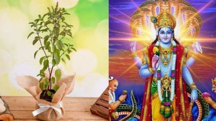 Kartik Purnima 2022 : कार्तिक पूर्णिमा के दिन तुलसी पूजा क्यों की जाती है | Boldsky *Religious