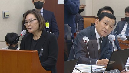 국회 행안위 '이태원 참사' 현안질의 ④ / YTN