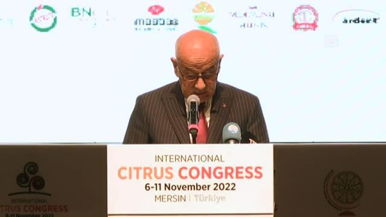 Kirişci: "Türkiye olarak gıda arz güvenliği bakımından tahıl koridorunu çok önemsiyoruz"