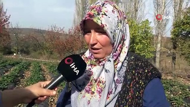 Tek bir fideyle 40 haneli köyün tamamının hayatı değişti