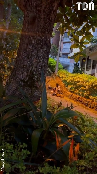 Un SDF filmé en train d'organiser une fête d'anniversaire pour ses chiens