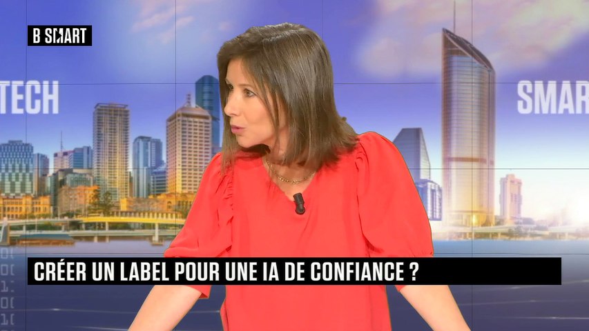 Créer un label pour une IA de confiance ?