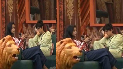 Bigg Boss 16 : Ankit Gupta ने  Sumbul Touqeer Khan के लिए कही बड़ी क्या बड़ी बात ? |*TV