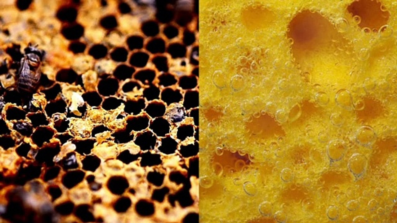 7 Phobia yang sebenarnya ada dalam diri anda !?