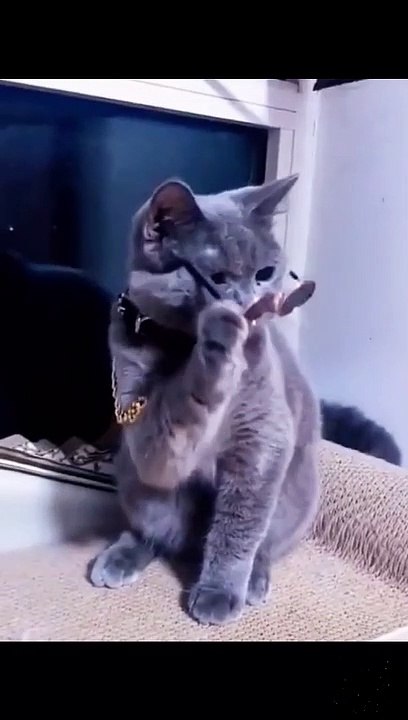 AAAAAAAAAAAA