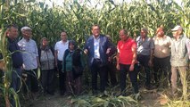 Antalyalı çiftçilerin ANTBİRLİK isyanı: Perişan ettiler bizi