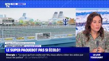 Plus de 2000 cabines, 7 piscines, 15 restaurants... L'Icon of the Seas, le plus gros paquebot du monde pas si écolo