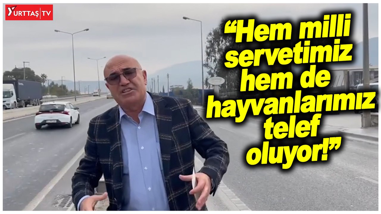 Mahmut Tanal yetkilileri göreve davet etti!  "Hem milli servetimiz hem de hayvanlarımız telef oluyor!"